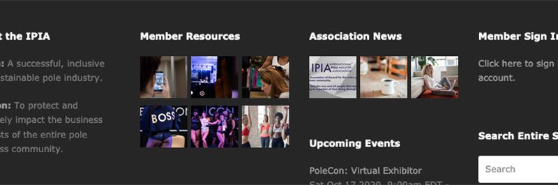 IPIA Website Screenshot.