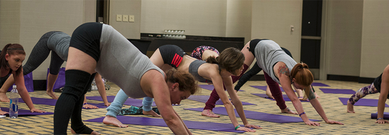 Group Class Stretches In Downward Dog Yoga Pose.